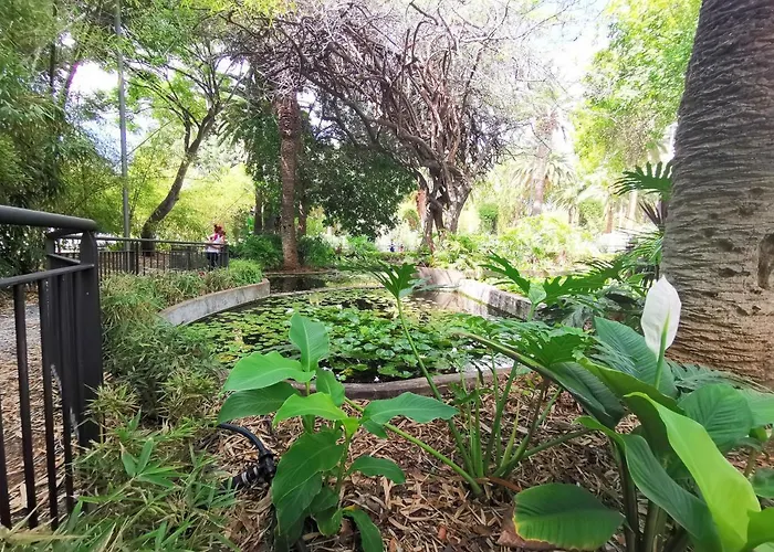 Home2book Stylish Flat In Cruz *