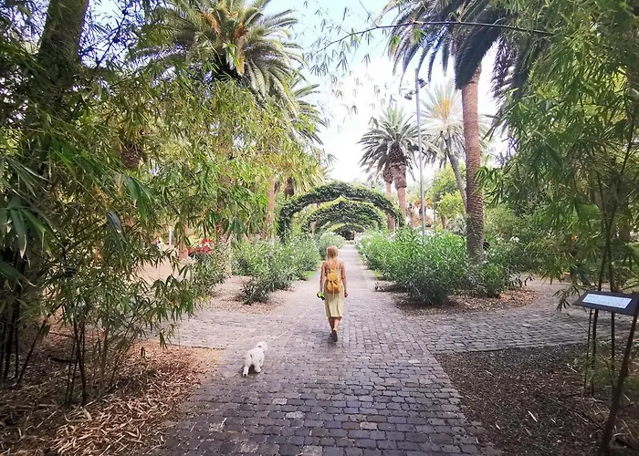 Daire Home2book Stylish Flat In Cruz *