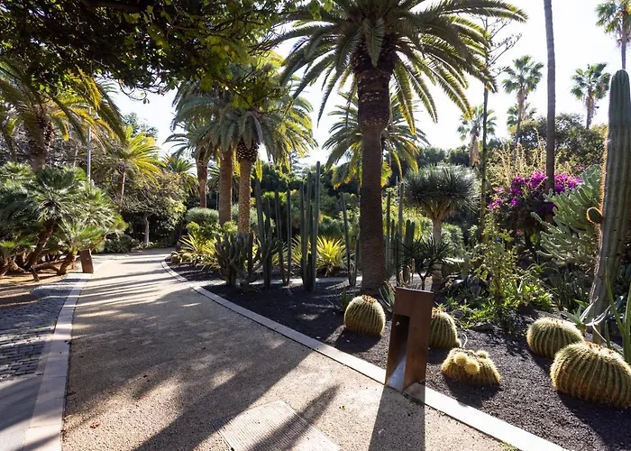 Appartement Home2book Stylish Flat In Cruz Santa Cruz de Tenerife