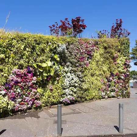 Home2book Stylish Flat In Cruz شقة *