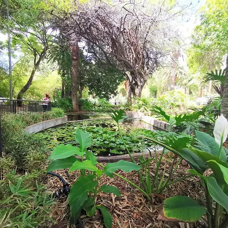 Home2book Stylish Flat In Cruz *