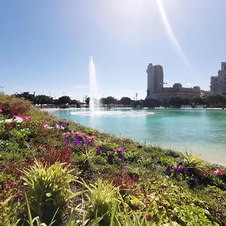 Home2book Stylish Flat In Cruz * سانتا كروز دي تينيريف