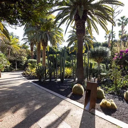 شقة Home2book Stylish Flat In Cruz سانتا كروز دي تينيريف