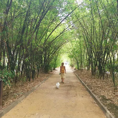 شقة Home2book Stylish Flat In Cruz سانتا كروز دي تينيريف